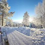 Cozy Private On Lifjell Bo (Telemark)