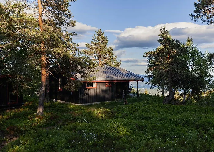 Cozy Private On Lifjell Bo (Telemark)