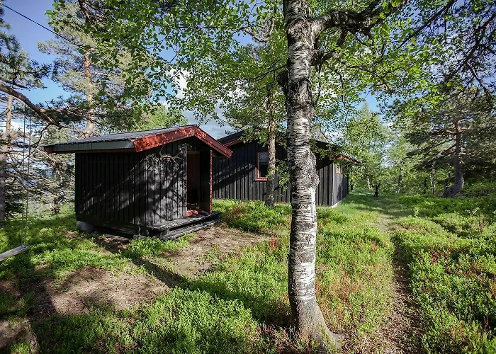 Cozy Private On Lifjell Bo (Telemark)