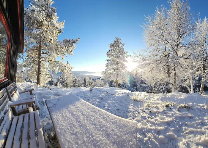 Cozy Private On Lifjell Bo (Telemark)