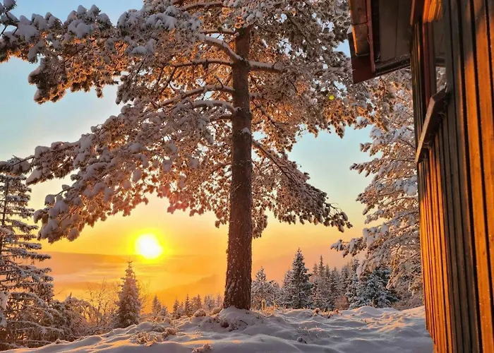 Cozy Private On Lifjell Holiday home *